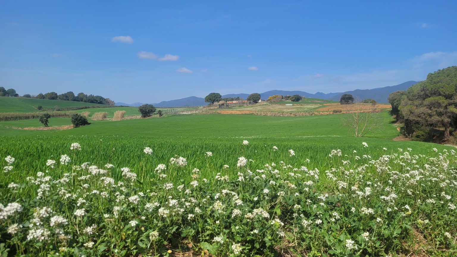 Ruta para familias en el Camí Ral de Sant Antoni de Vilamajor