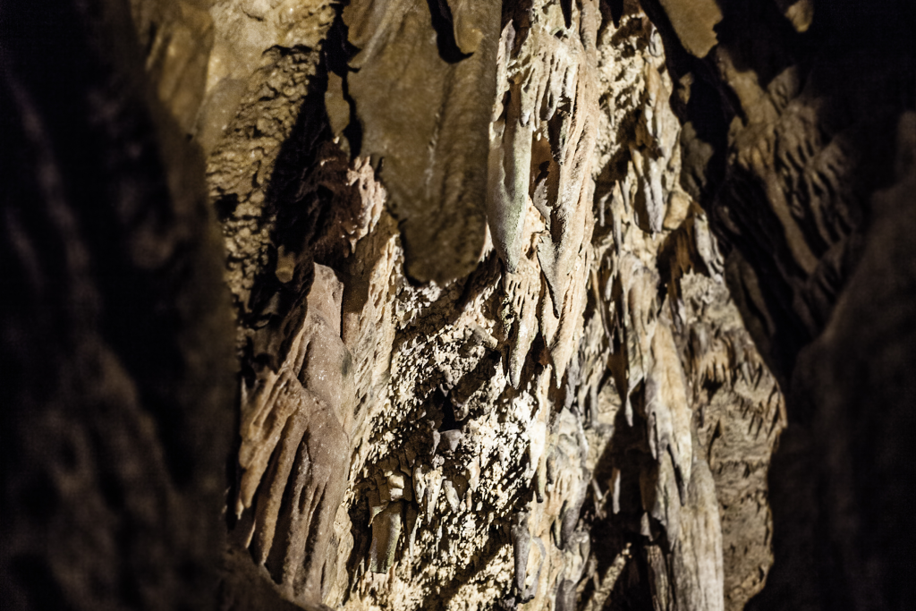 Espeleología en la Cueva de Salnitre, Cataluña