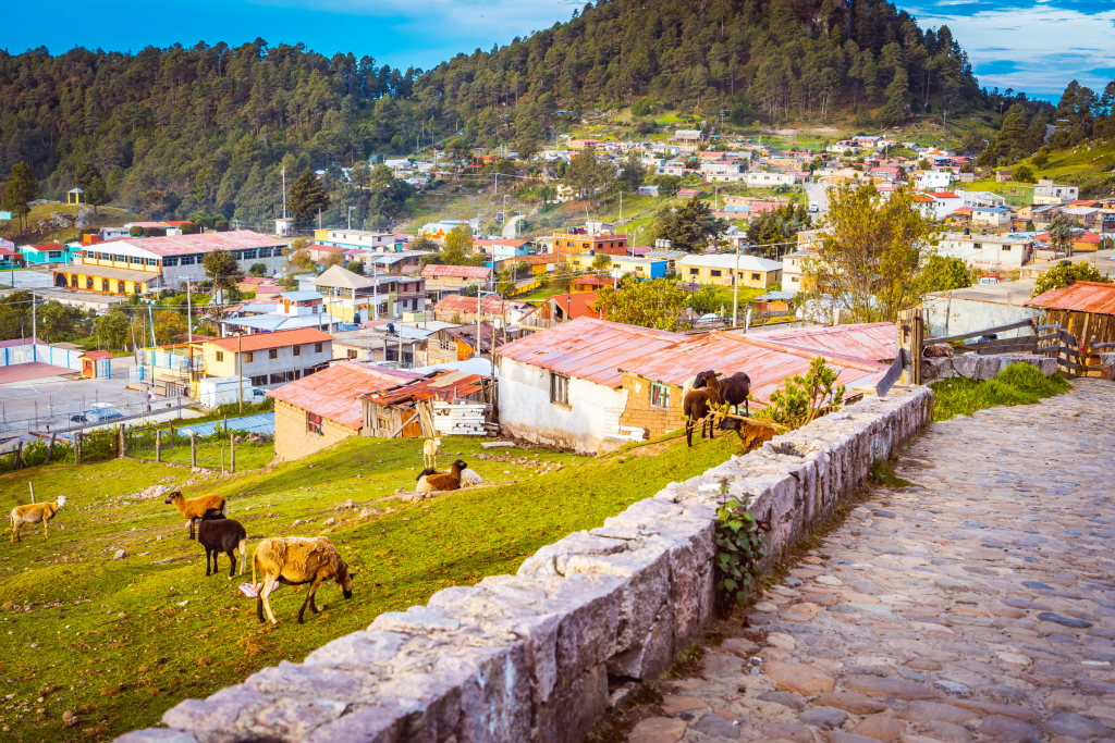 Paisaje de la Sierra Norte (Oaxaca, México)