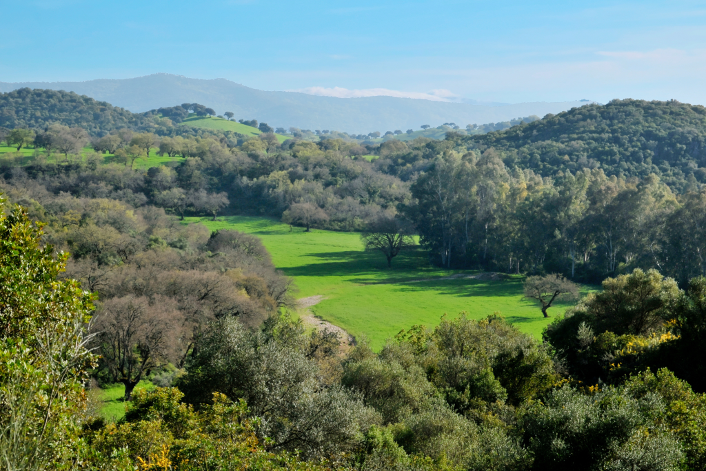 Pueblo de El Bosque en Cadiz