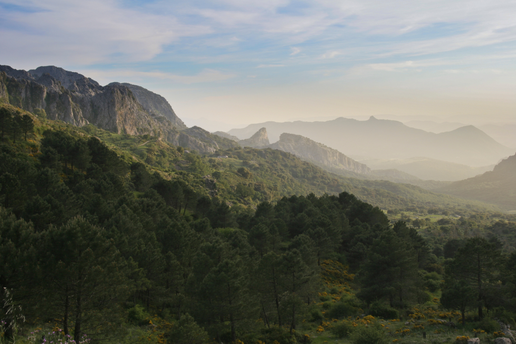 Senderismo en la Sierra de Grazalema