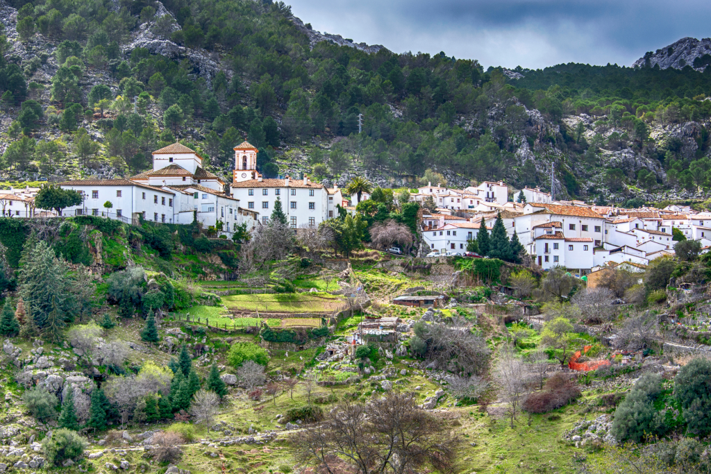 Senderismo en la Sierra de Grazalema