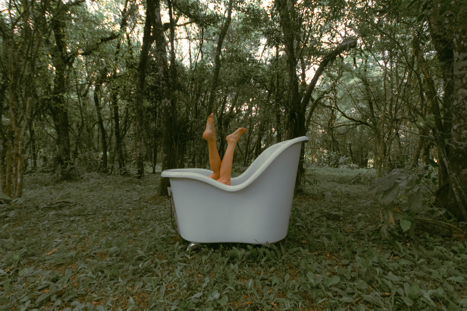 Baños de bosque en la Sierra de Aracena
