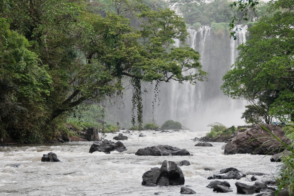 Bienestar rural en Veracruz