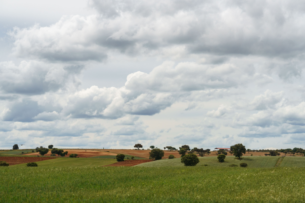 Paisaje de Tierra de Campos (Castilla y León, España)