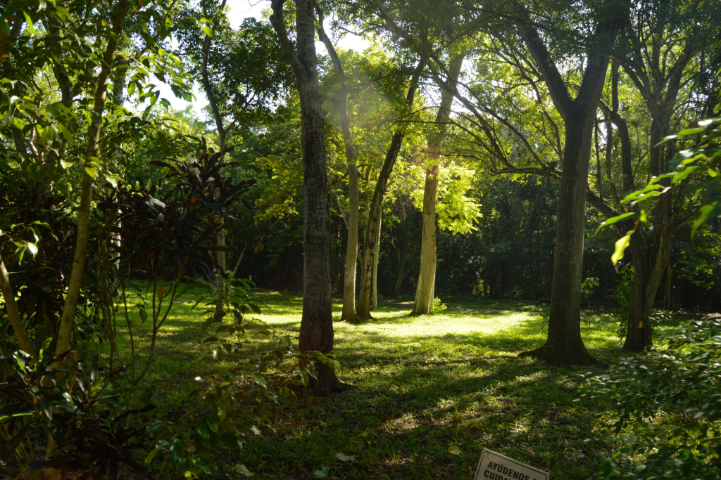 Naturaleza y bienestar rural en Veracruz