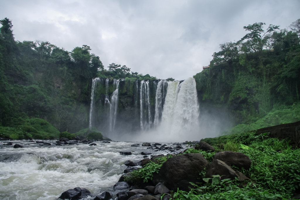 Bosque de la Sierra de Los Tuxtlas
