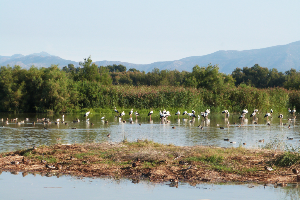 Verano en el Alto Ampurdán
