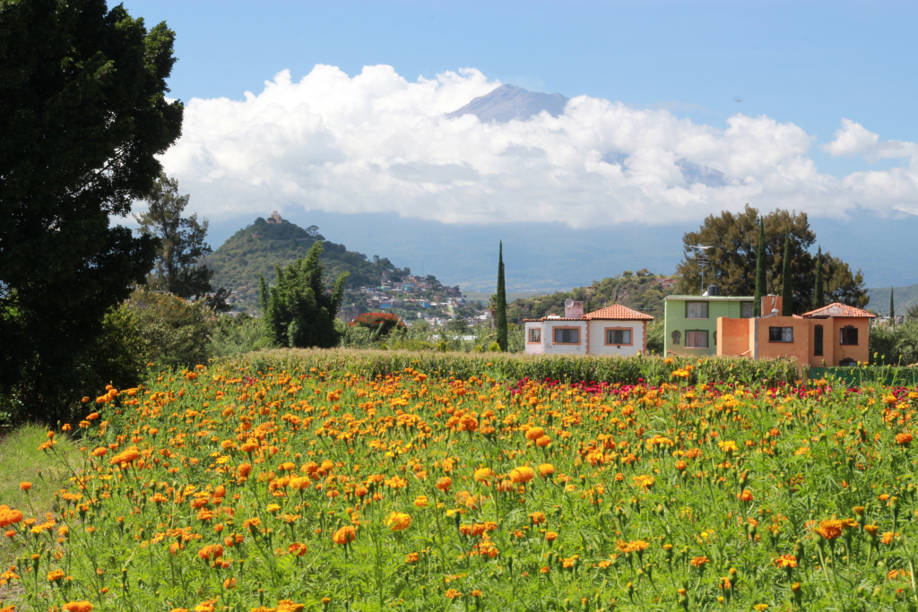 Pueblos frescos del norte de Puebla