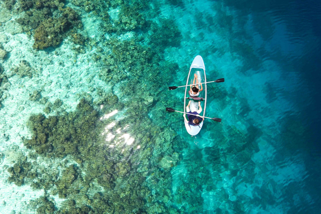 Kayak en cenotes de Yucatán