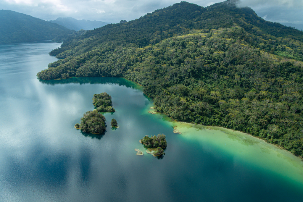 Baños de bosque en México