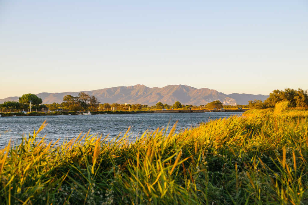 Paisaje en el Alto Ampurdán