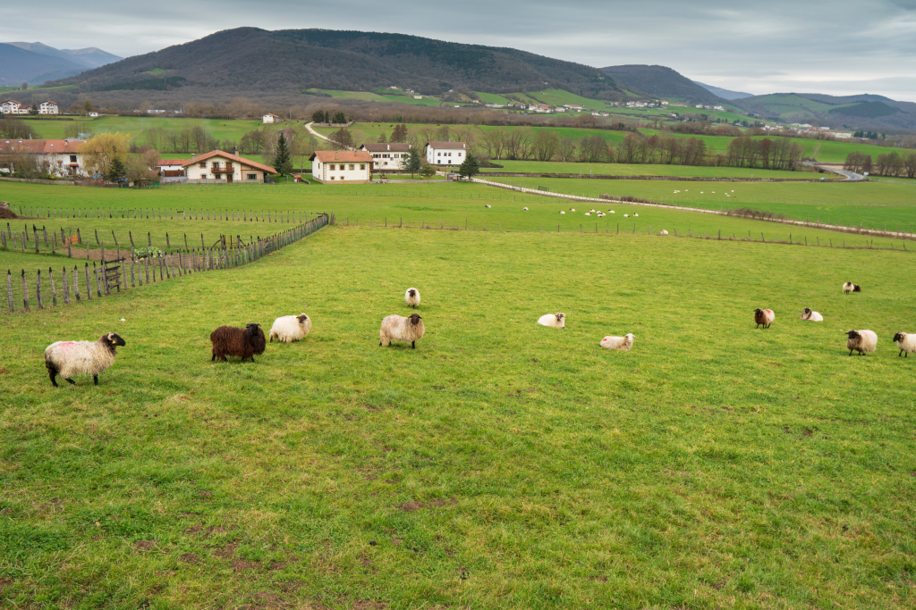 Paisaje del Valle de Ultzama