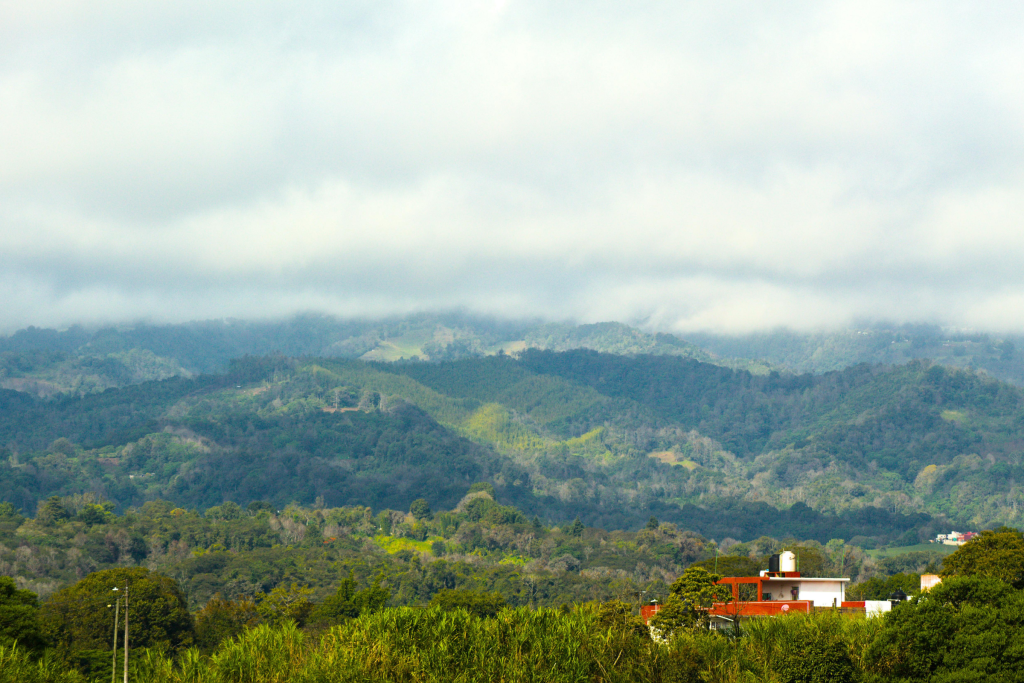 Bosque de niebla en Xalapa y Cofre de Perote